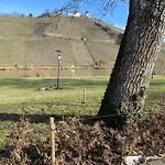 Rockenbach Pünderich