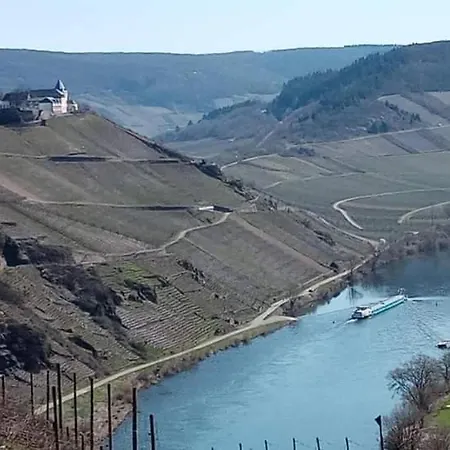 公寓 Rockenbach 平德里希