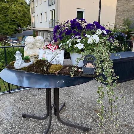 公寓 Rockenbach 平德里希