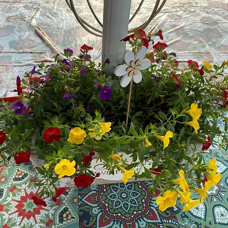 Rockenbach 아파트