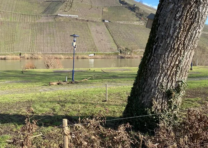 Rockenbach 푼데리크