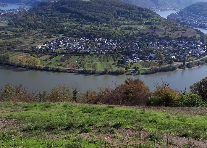 Rockenbach * 푼데리크