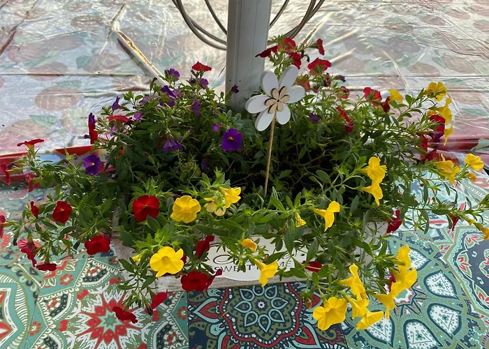 Rockenbach 아파트